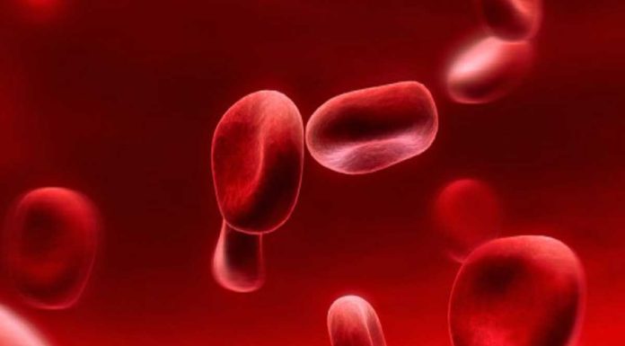 Ο σπανιότερος τύπος αίματος στον κόσμο ! Ο σπανιότερος τύπος αίματος.