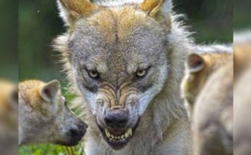 Σας αξίζει η απέχθεια του λαού και της ιστορίας
