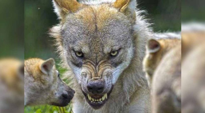 Σας αξίζει η απέχθεια του λαού και της ιστορίας Σας αξίζει η απέχθεια του λαού και της ιστορίας