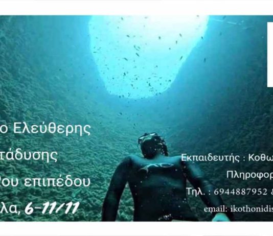 ΣΧΟΛΗ ΕΛΕΥΘΕΡΗΣ ΚΑΤΑΔΥΣΗΣ - ΓΙΑΝΝΗΣ ΚΟΘΩΝΙΔΗΣ.