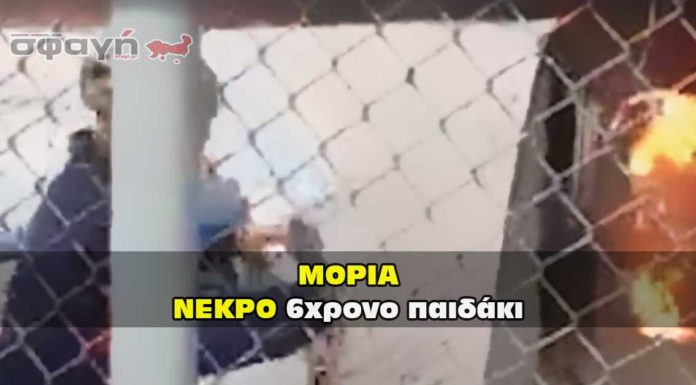 nekro paidaki moria 696x385 - Homepage - Fashion