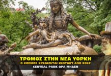 Τρόμος στην Νέα Υόρκη Στο Central Park η διάσωση συνεχίζεται !