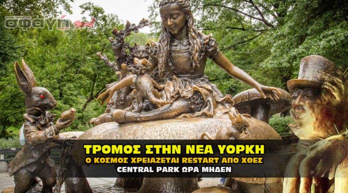 Τρόμος στην Νέα Υόρκη Στο Central Park η διάσωση συνεχίζεται !