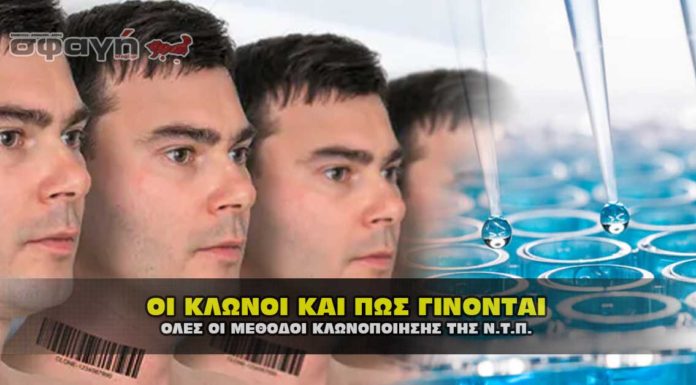 Κλώνοι και σωσίες τι είναι, κατηγορίες, γιατί υπάρχουν και πως γίνονται. Κλώνοι και σωσίες τι είναι, κατηγορίες, γιατί υπάρχουν και πως γίνονται.