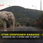 xorta paraliakh kavala mouriadhs 150x150 - Το ψεύτικο βίντεο του Τράμπ με τον Κλάους στο Παγκόσμιο Φόρουμ
