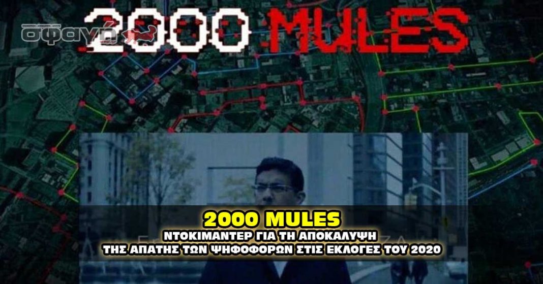 2000 MULES - ΝΤΟΚΙΜΑΝΤΕΡ ΓΙΑ ΤΗΝ ΕΚΛΟΓΙΚΗ ΝΟΘΕΙΑ ΤΟΥ 2020