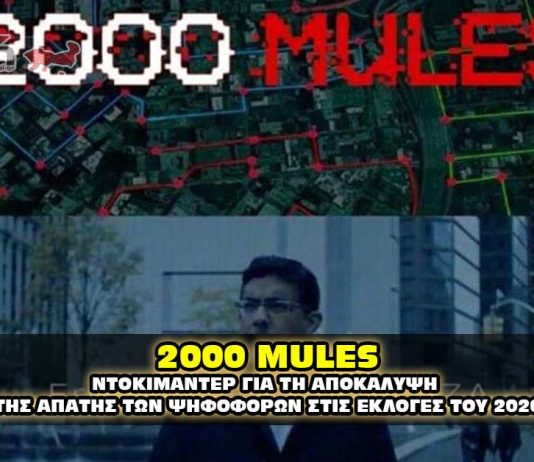 2000 MULES - ΝΤΟΚΙΜΑΝΤΕΡ ΓΙΑ ΤΗΝ ΕΚΛΟΓΙΚΗ ΝΟΘΕΙΑ ΤΟΥ 2020