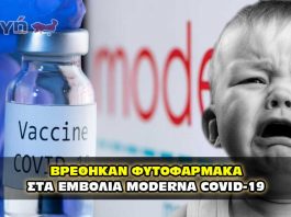 Ο ΣΤΡΑΤΟΣ ΒΡΗΚΕ ΦΥΤΟΦΑΡΜΑΚΑ ΣΤΑ ΕΜΒΟΛΙΑ MODERNA COVID-19