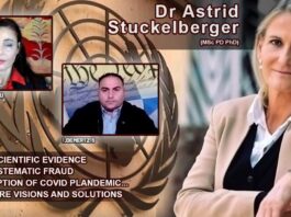 stuckelberger interview demertzis papadopoulou sfagi 07 03 2024 265x198 - Homepage - Newsmag